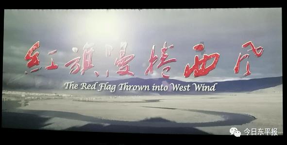 逗小猴开心系列197
